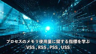 プロセスのメモリ使用量に関する指標を学ぶ (VSS, RSS, PSS, USS)
