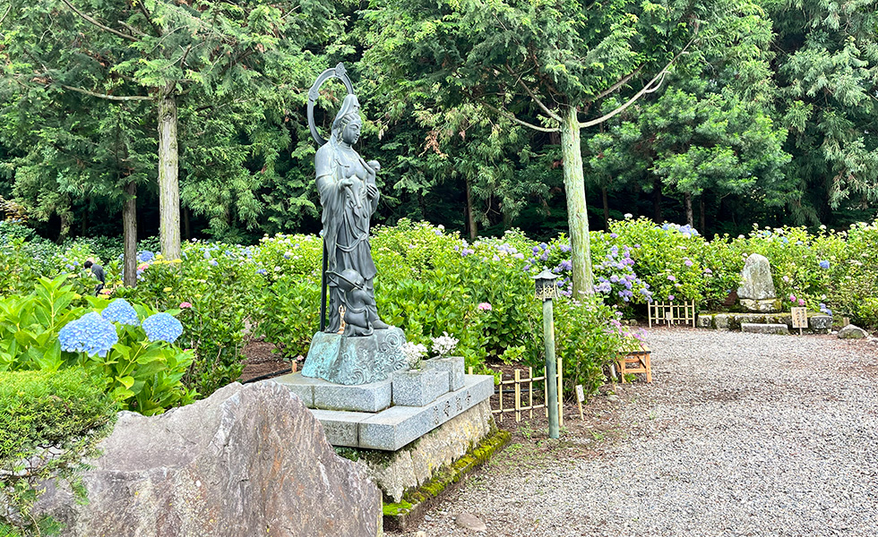 紫陽花が咲く弘長寺