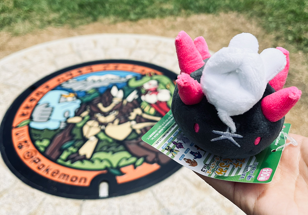 ポケふたを背景にしたナマコブシのぬいぐるみ